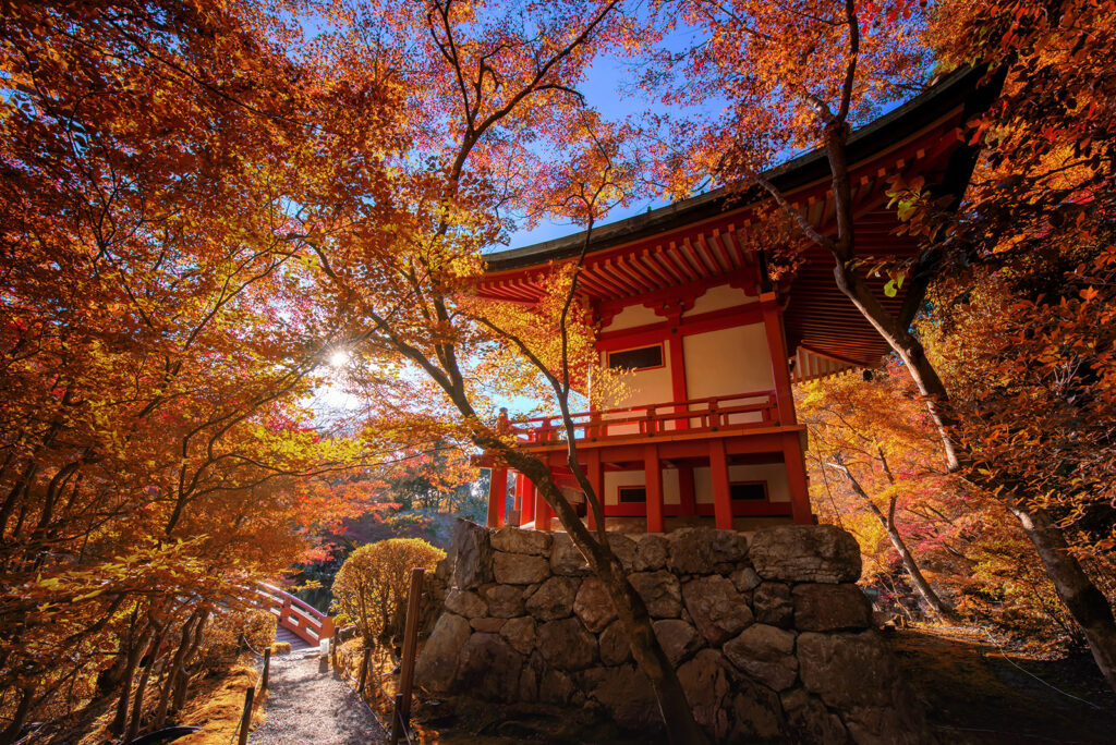 Tour Rosso Autunno 2025