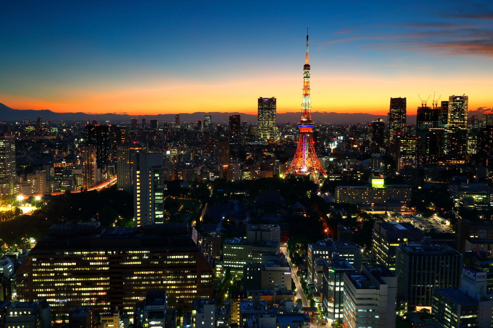 capodanno a tokyo viaggio di gruppo